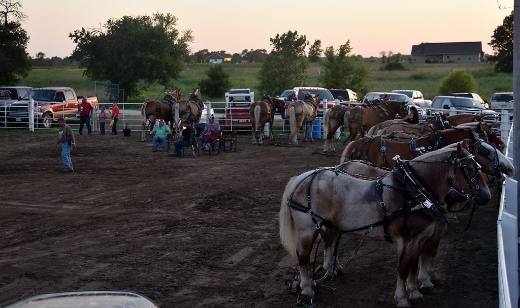 The Boone County Fair held its annual Draft Horse pull